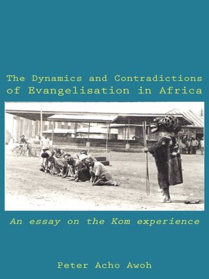 cover image of The Dynamics and Contradictions of Evangelisation in Africa
